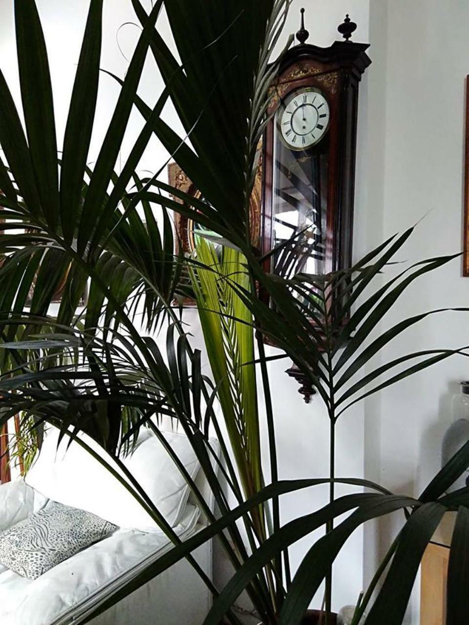 Il Camaleonte Villa Bracciano  Buitenkant foto
